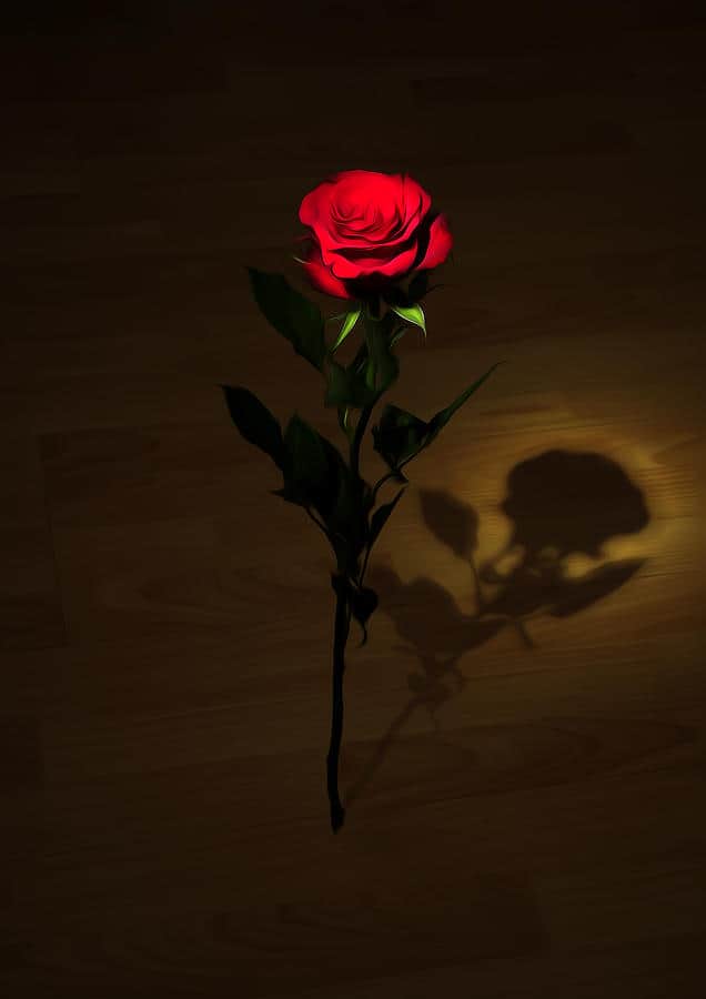 one red rose svetlana sewell