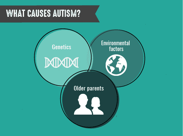 what causes autism