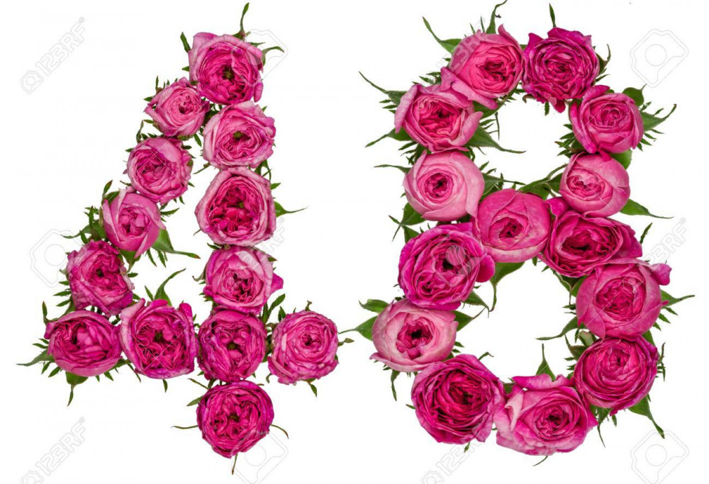 arabic numeral  forty eight from red flowers of rose isolated on white background