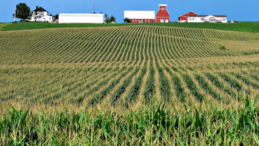 agricultural in Iowa