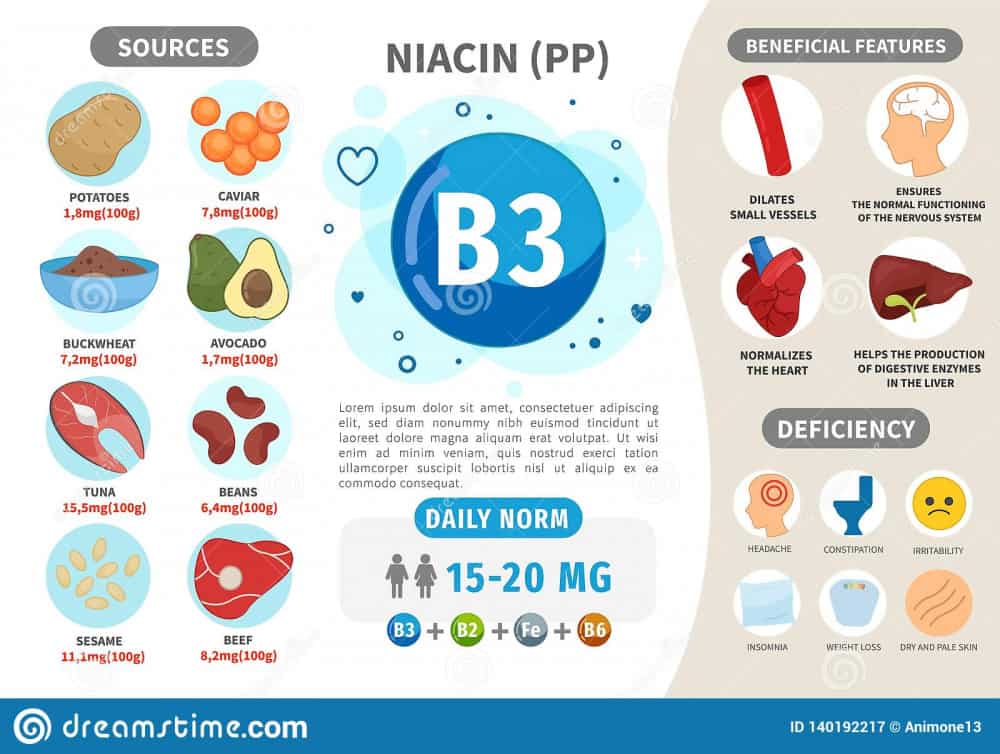 infographics vitamin b produkter som innehaller vitaminet daglig norm tecken av bristen medicinsk affisch for vektor