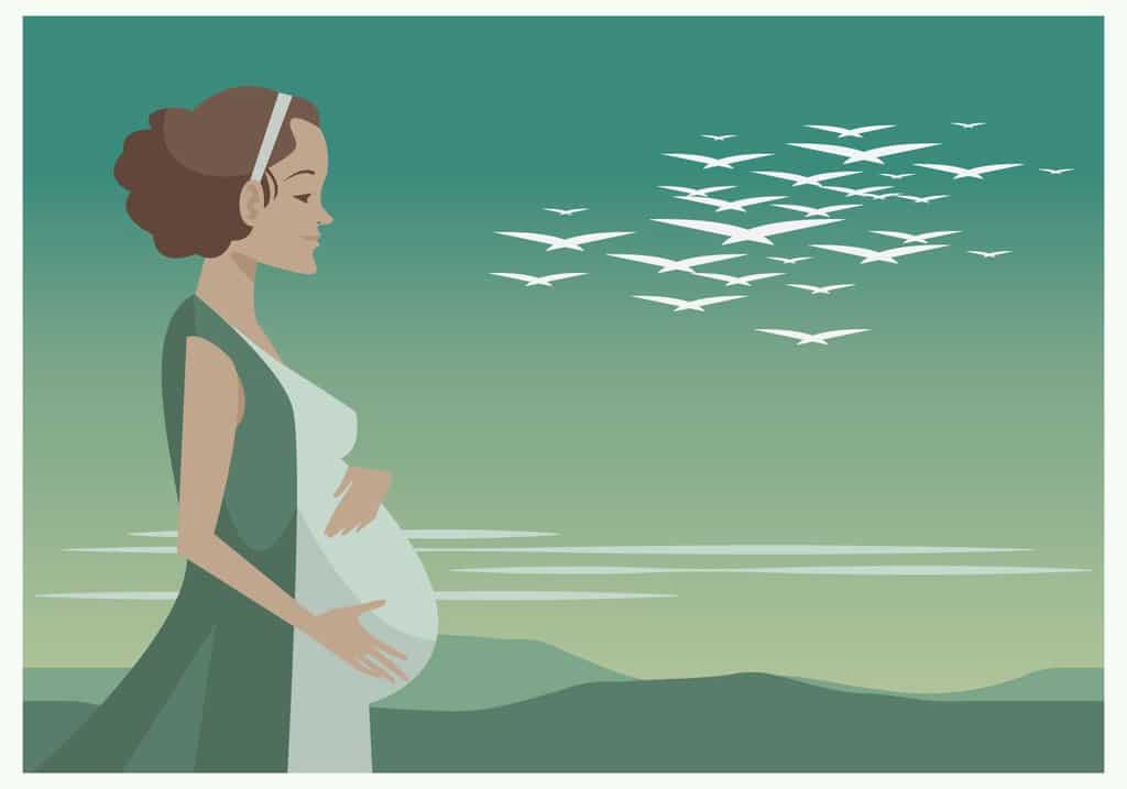 outdoor portrait of a young pregnant woman vector