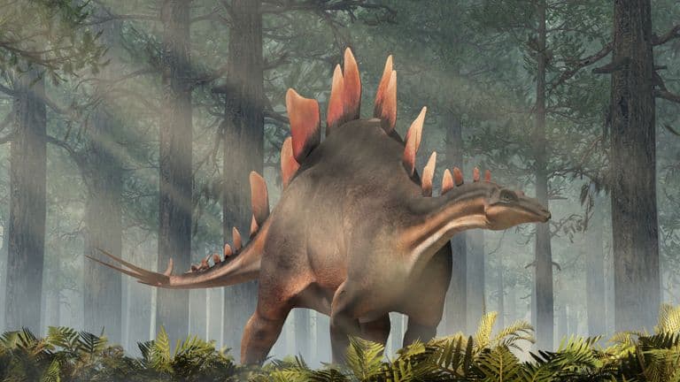skynews stegosaurus dinosaur