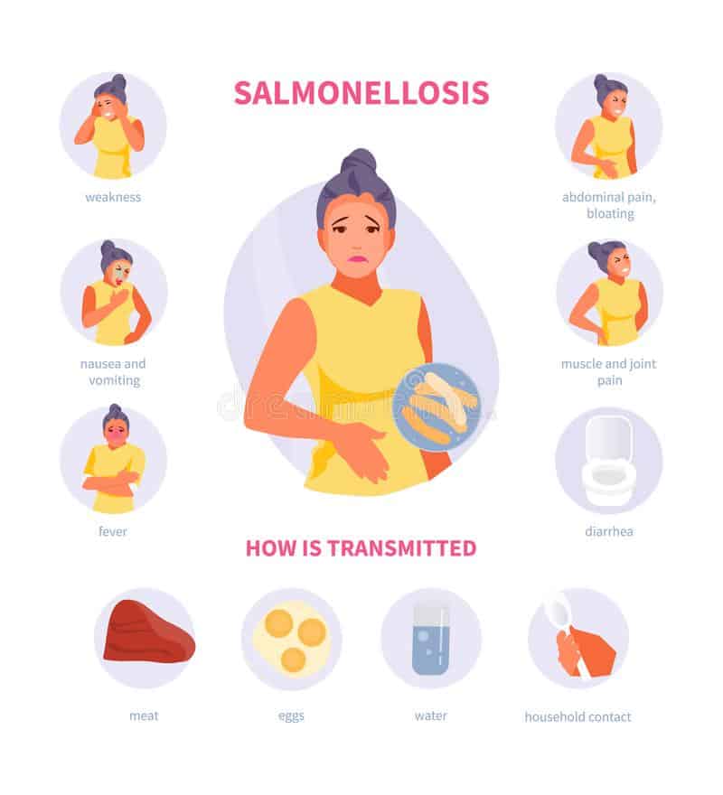 symptoms transmission salmonellosis girl character symptoms salmonellosis ways transmission dysentery medical