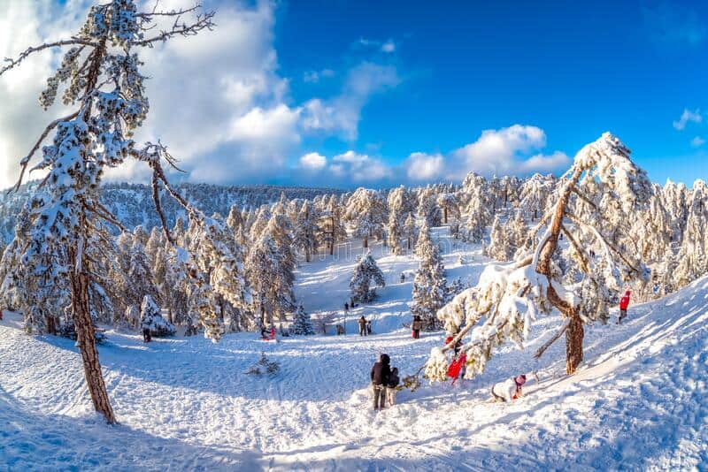 troodos cyprus january winter scene snow coveder mountain top