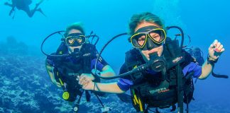 What Is A Scuba Divemaster? An Explanation Of The Divemaster’s Role In Scuba Diving