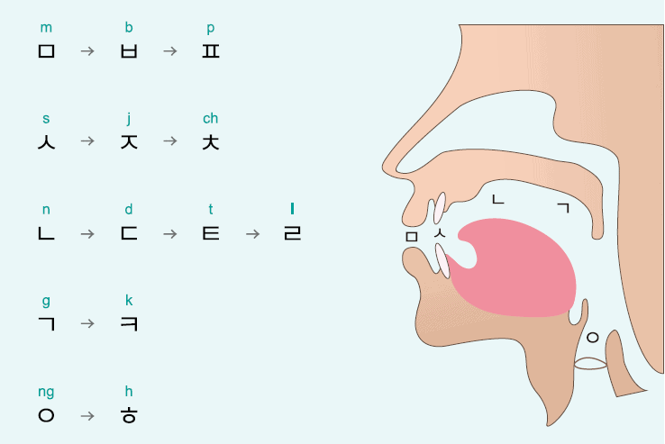 learn korean language guide to pronunciation rules